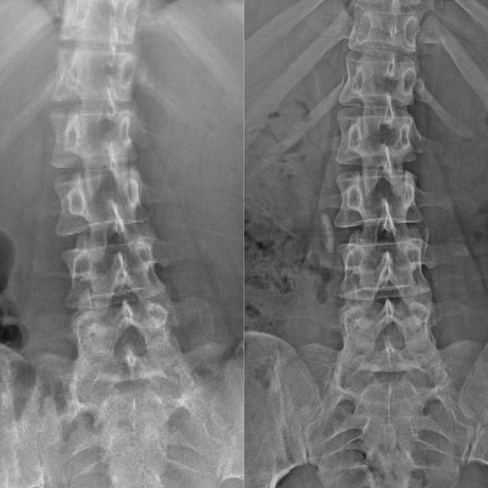 박재성 프로필 이미지