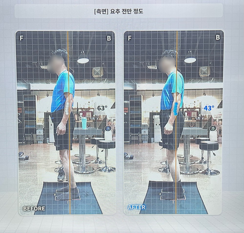 대니 트레이너 - 중구 충무로1가 명동바디플렉스짐 헬스 PT 가격비교