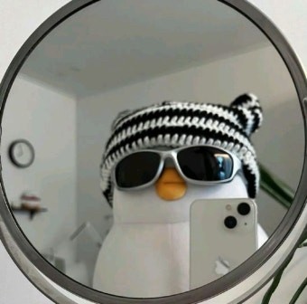 user_profile